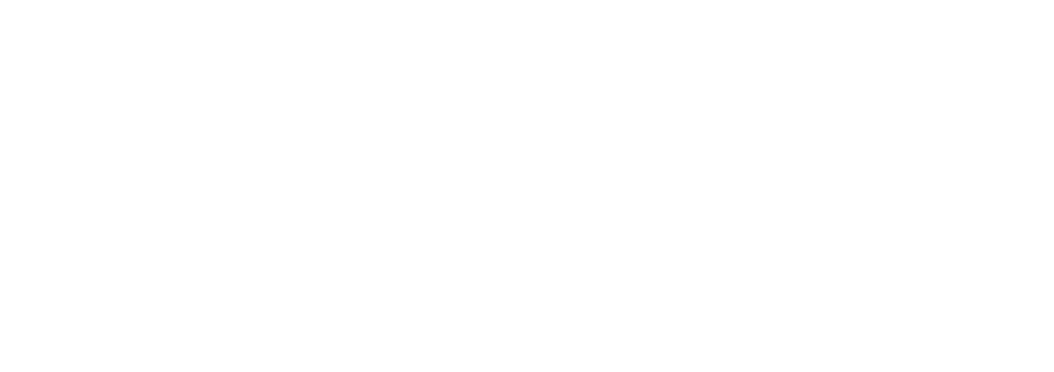 Bizzmine � Visual Identity Final-03